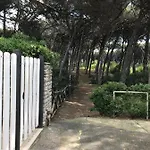 Il Pinolo 2 *