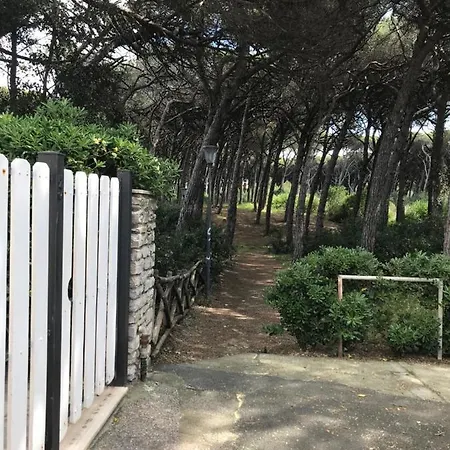 Il Pinolo 2 *