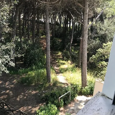 Apartmán Il Pinolo 2