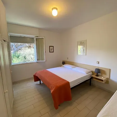 Il Pinolo 2